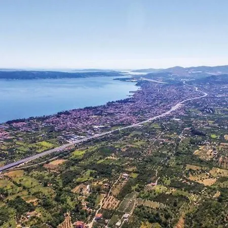 Golub * Kaštel Stari